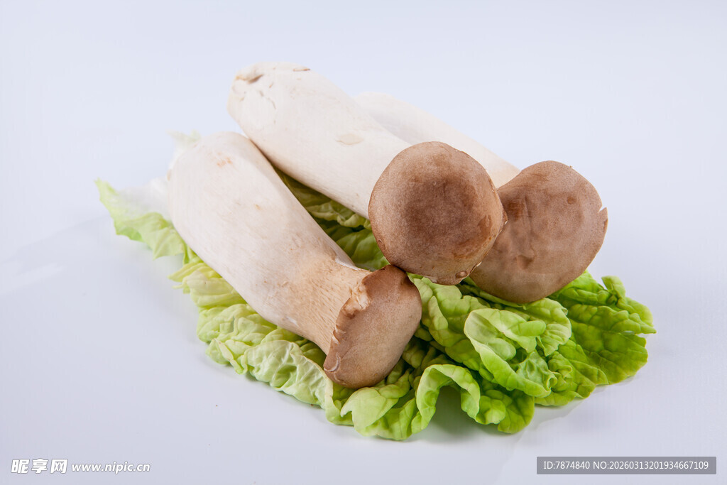 鲜蘑菇与生菜搭配的食材