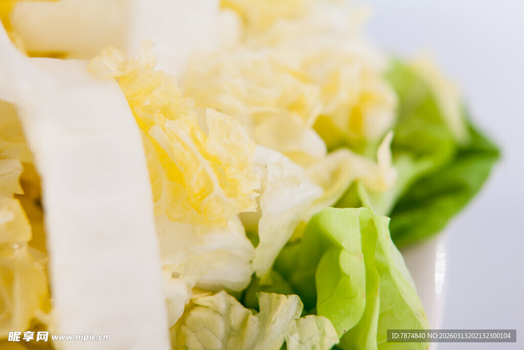 新鲜蔬菜沙拉组合