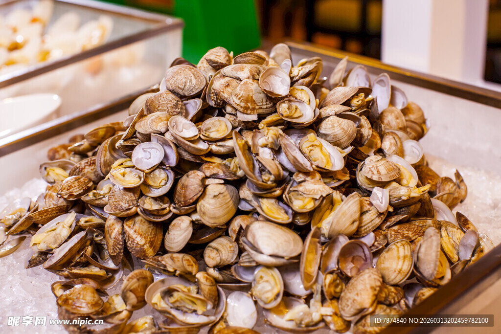新鲜蛤蜊堆在冰块上