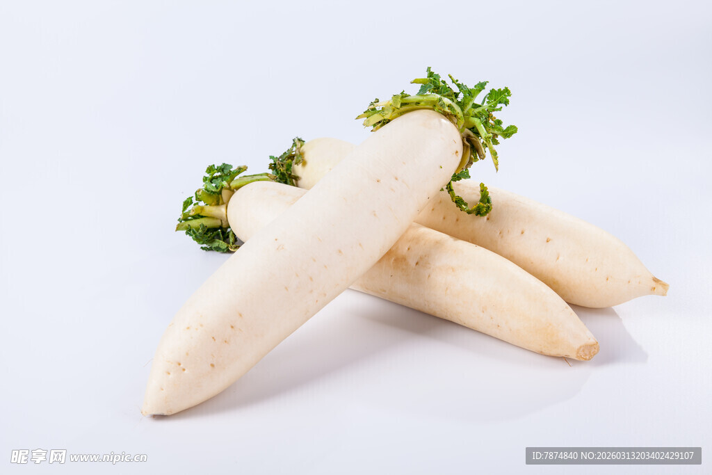 新鲜白萝卜 翠绿缨相伴