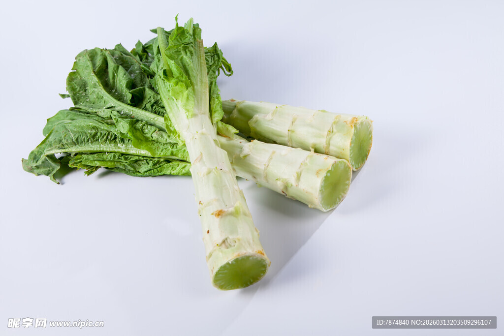 新鲜莴笋 翠绿根茎