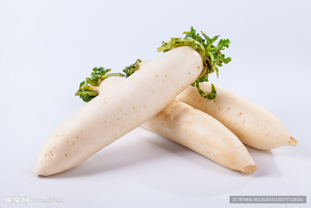 新鲜白萝卜 翠绿茎叶相伴
