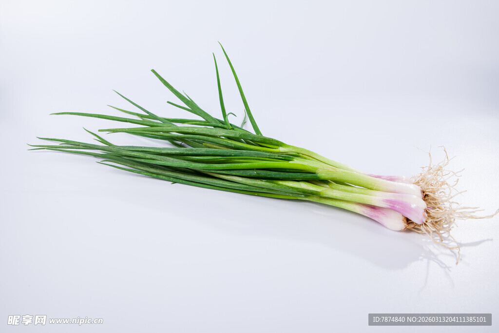 新鲜小葱 翠绿根茎带白