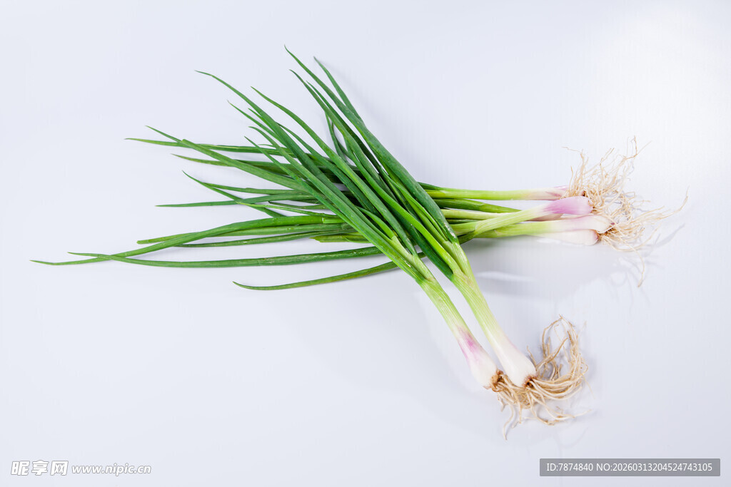 新鲜青葱 翠绿欲滴