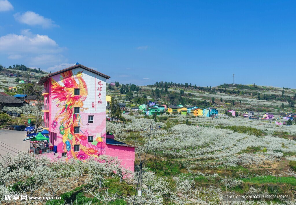 彩色小屋点缀美丽户外
