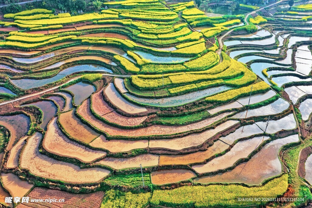 壮观美丽的五彩梯田景观