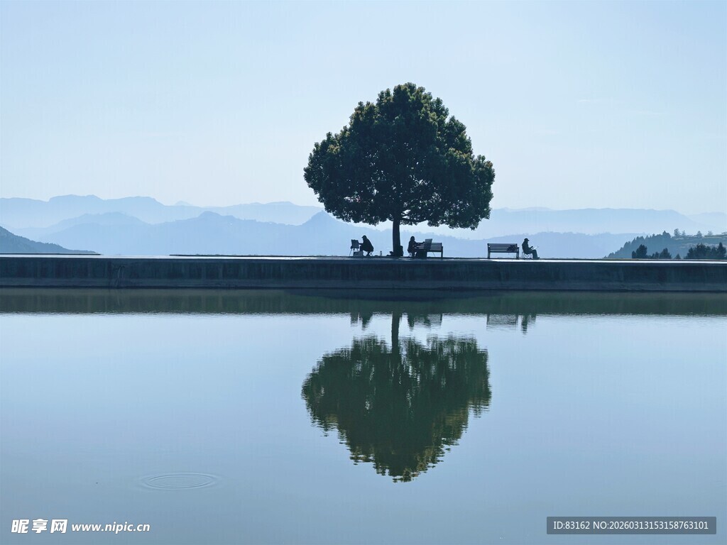 湖畔孤树倒影静谧美景