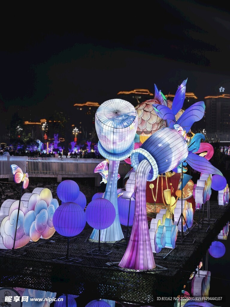 梦幻夜间花车巡游景观