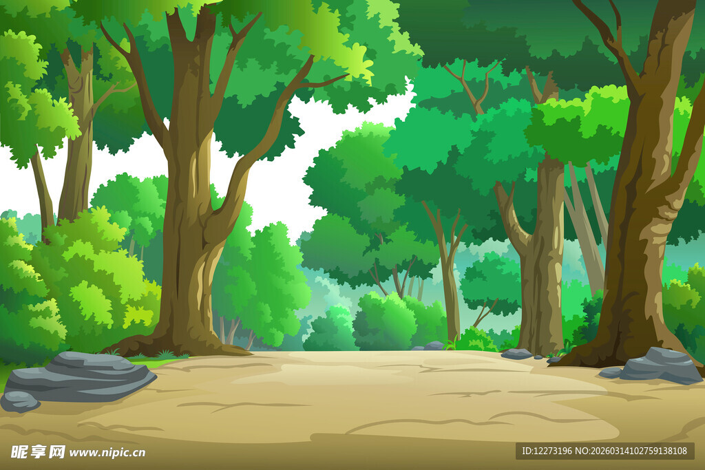 森林中的宁静小径