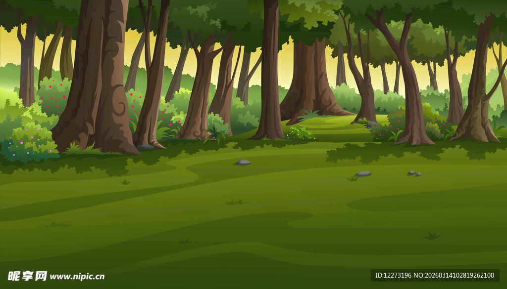 森林中的绿意盎然草地