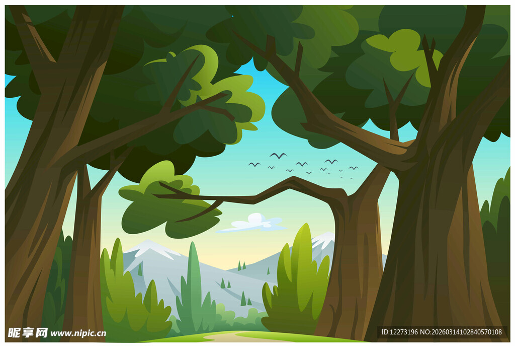 森林中的葱郁树木景观