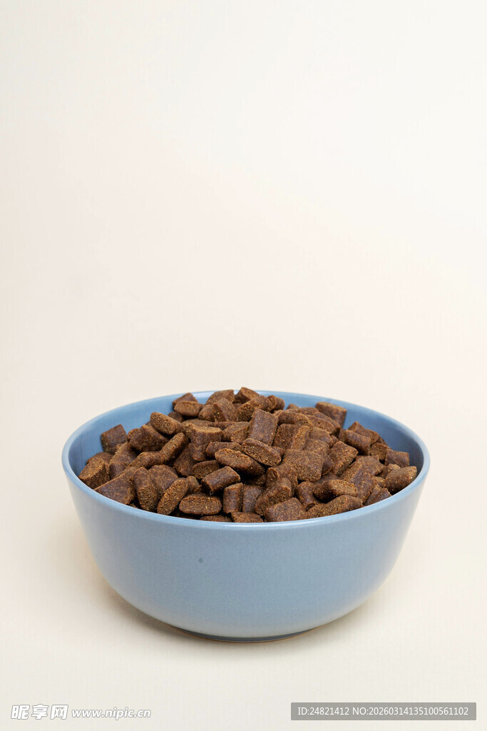 蓝色碗中的宠物干粮