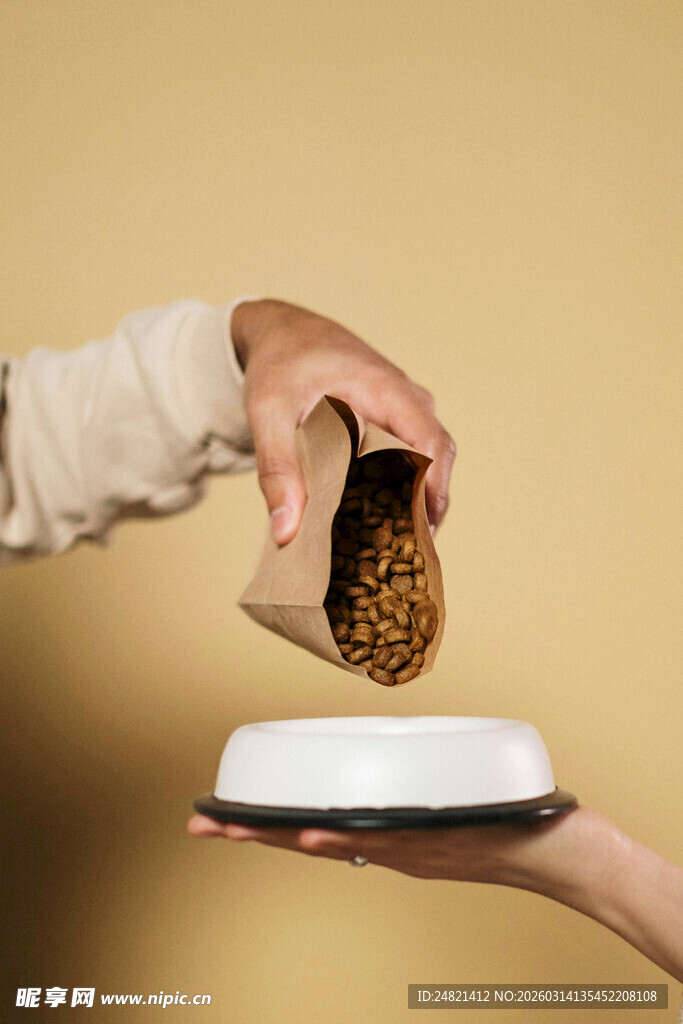 给宠物喂食瞬间