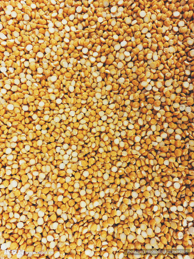 金黄玉米粒特写画面