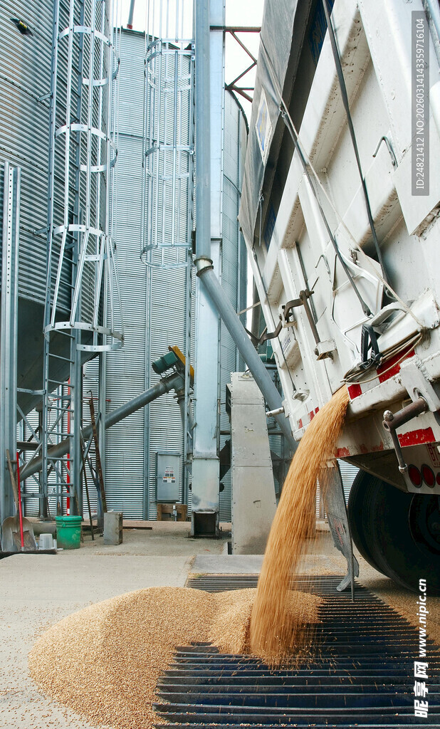 谷物倒入工厂设备场景