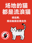 场地流浪猫  请勿随意投喂