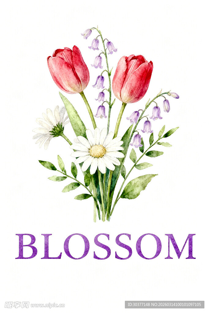 花卉组合 绽放的美丽