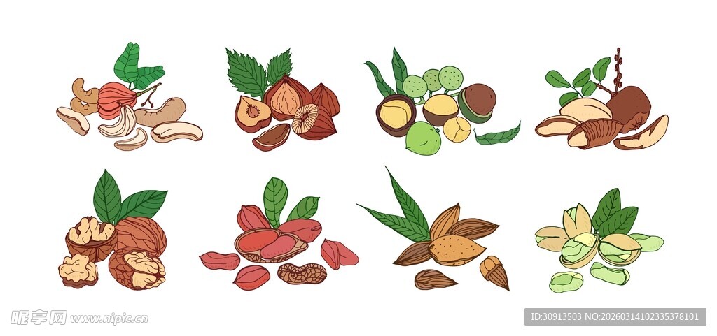 手绘坚果图案