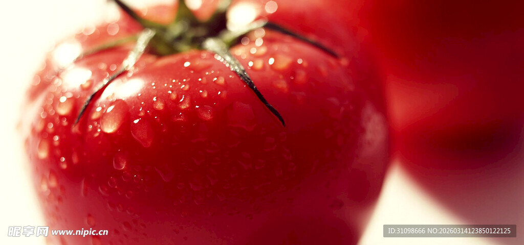 新鲜带水珠的红番茄
