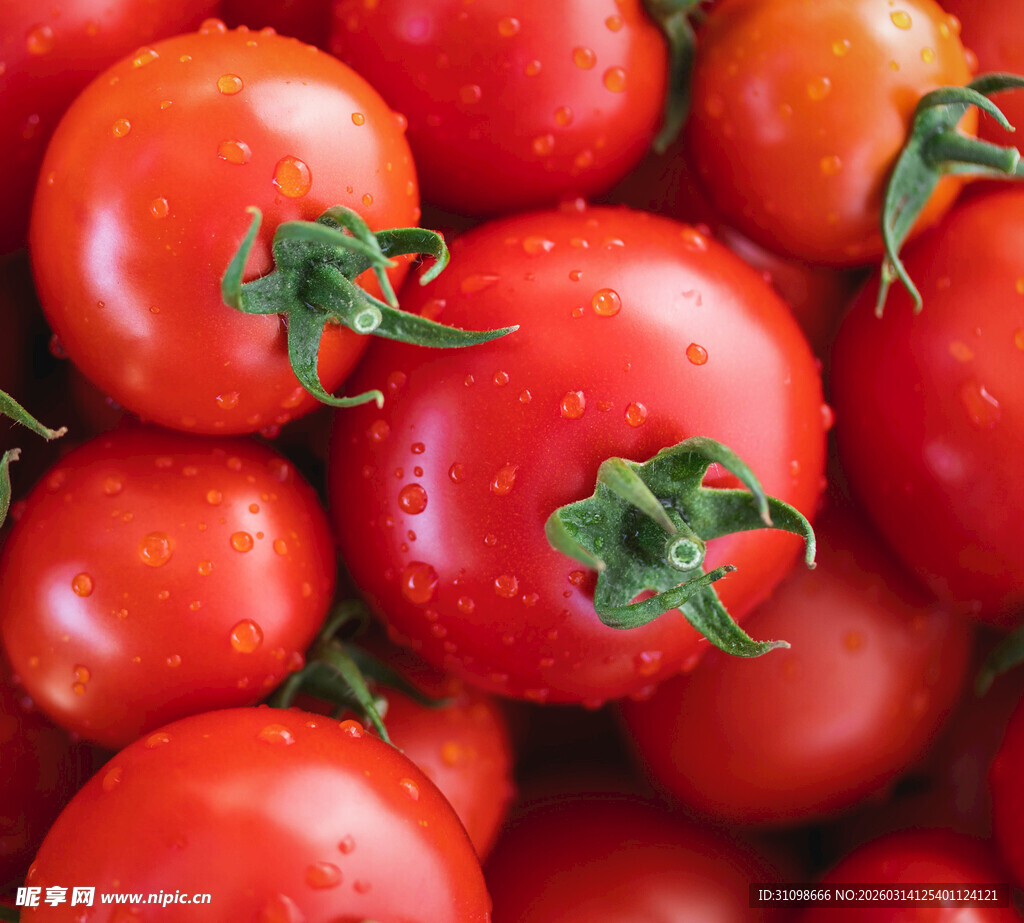新鲜饱满的红番茄