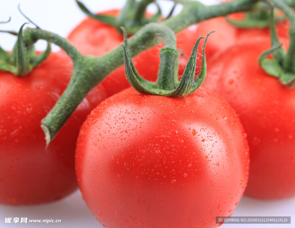 新鲜饱满的红番茄