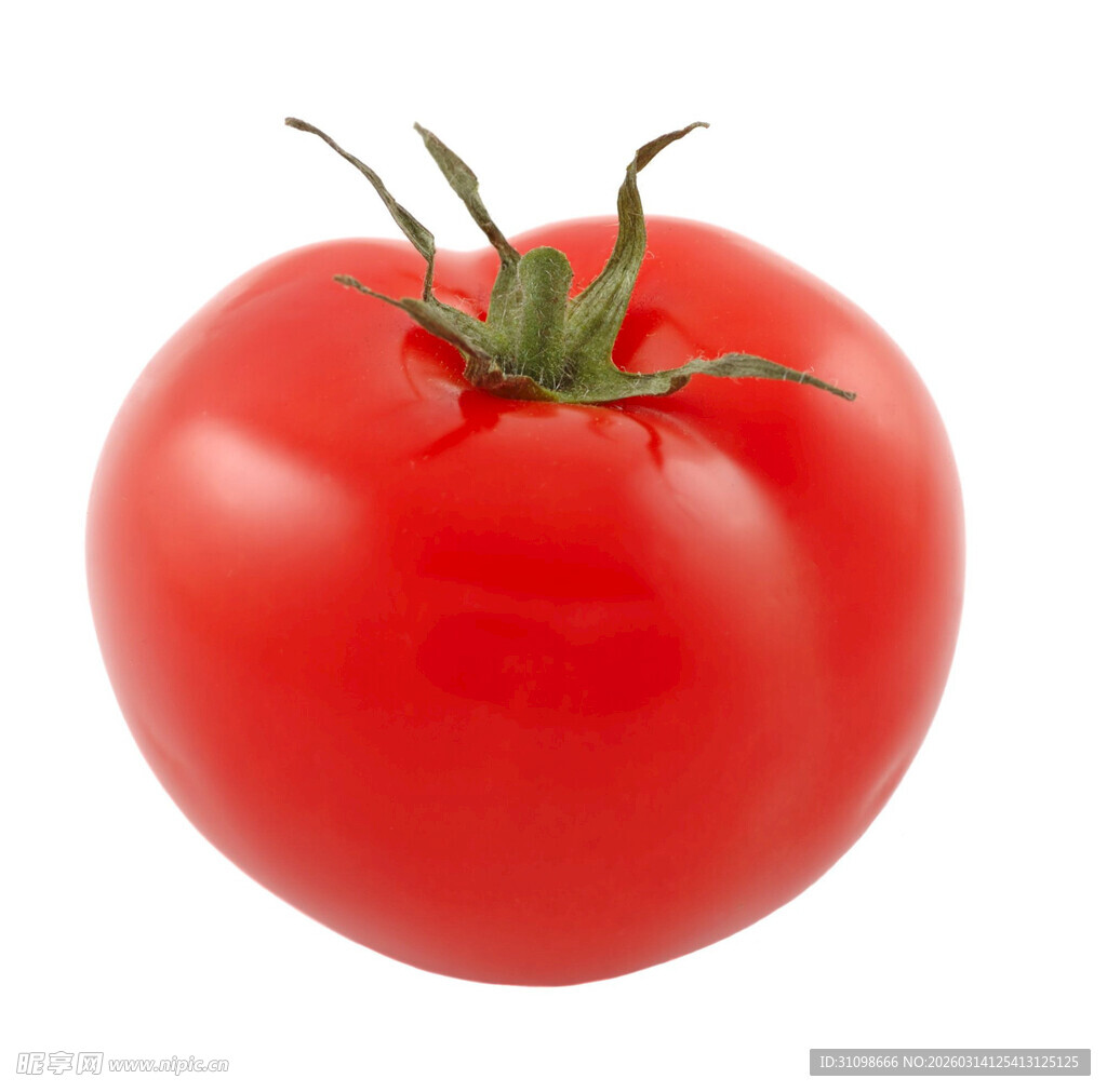 鲜红饱满的成熟西红柿