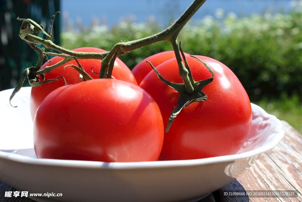 碗中新鲜红番茄