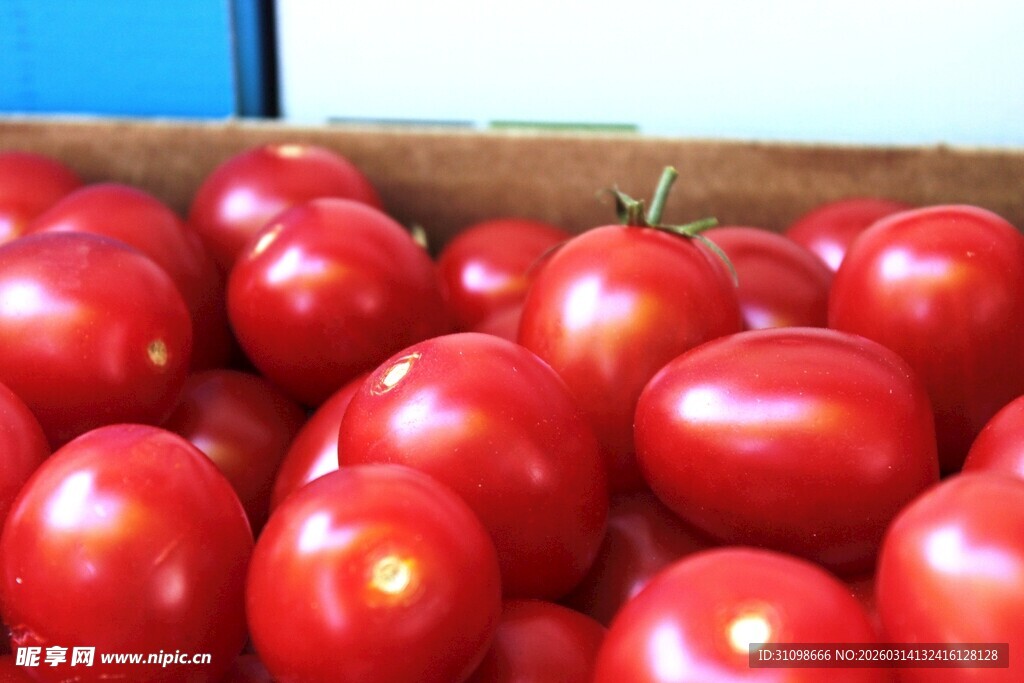 一箱饱满的新鲜红番茄