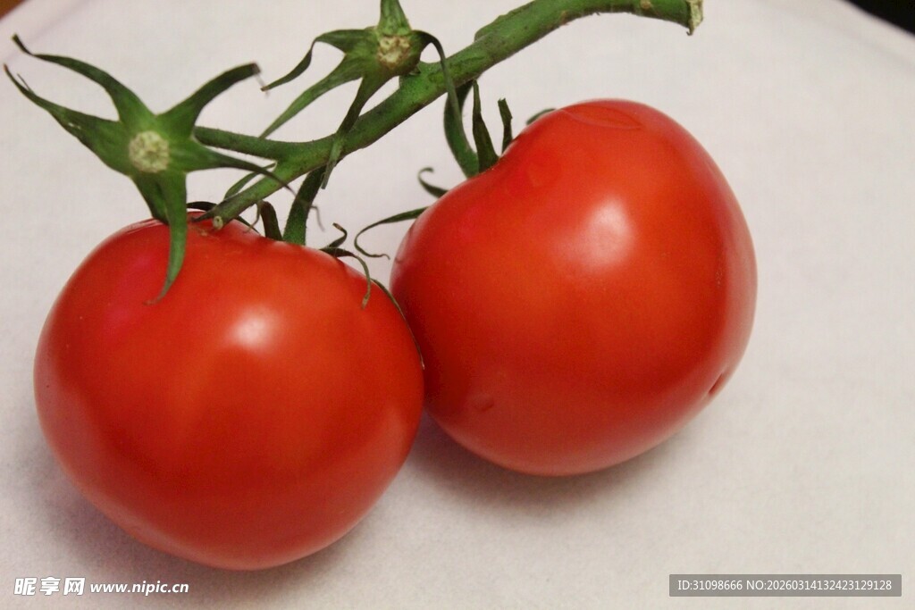 新鲜双颗番茄