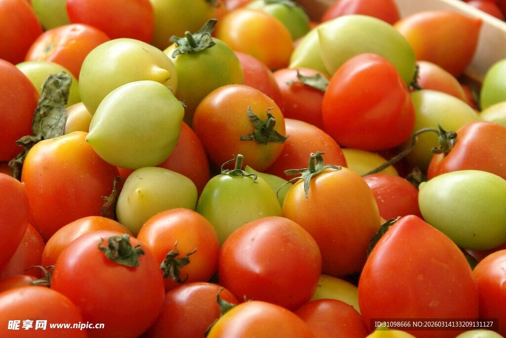 多彩小番茄堆叠