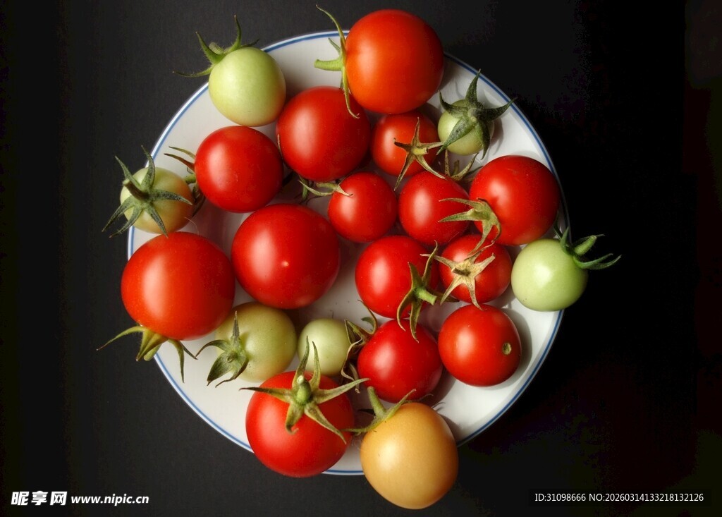 多彩小番茄摆于白盘