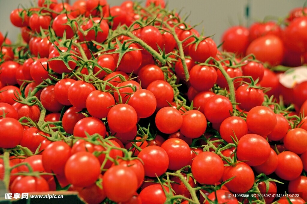 新鲜饱满的小番茄