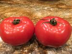 两个鲜红饱满的大番茄