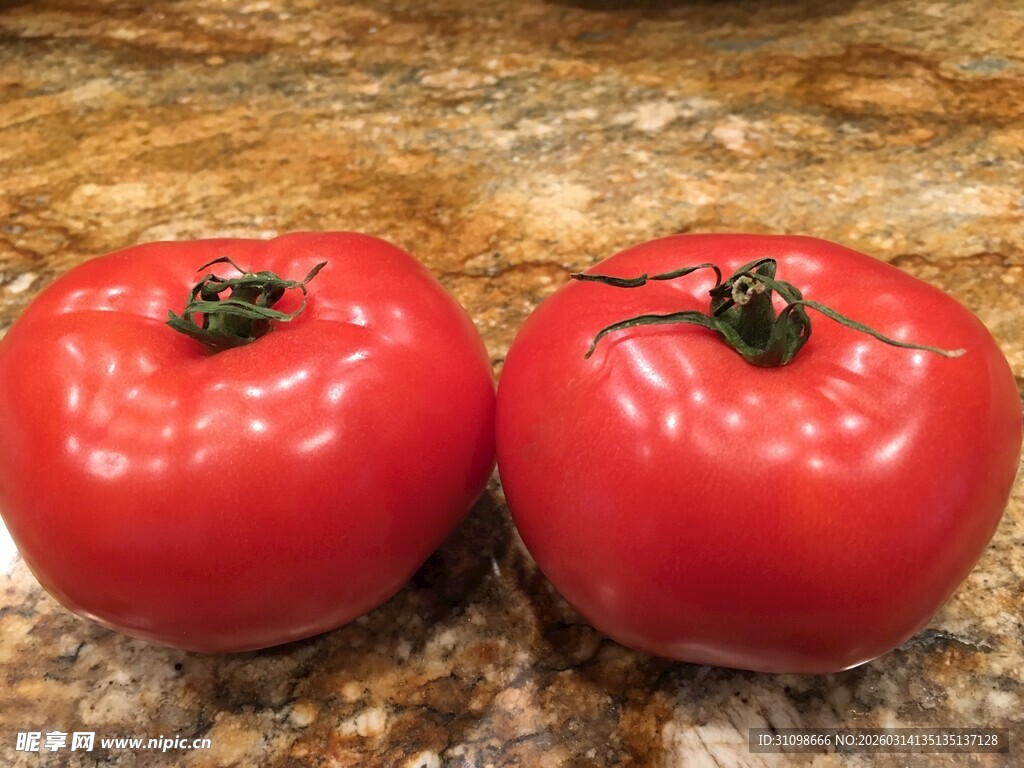 两个鲜红饱满的大番茄