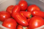 盆中新鲜红番茄