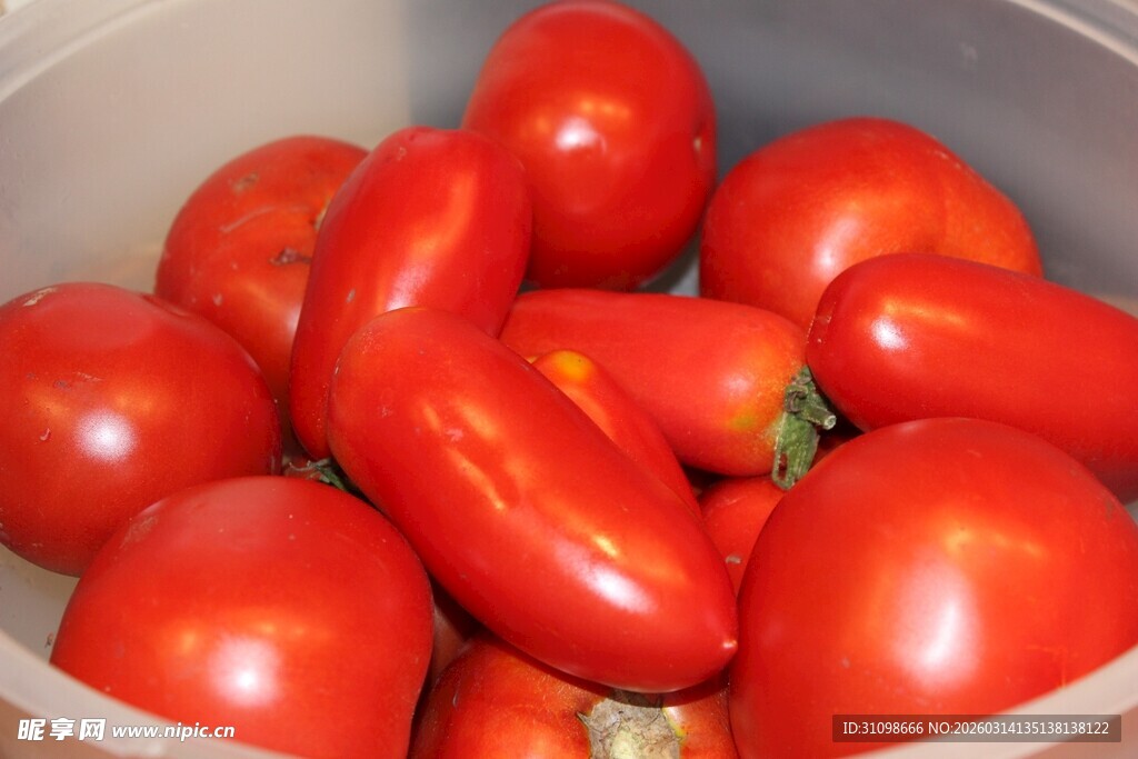 盆中新鲜红番茄