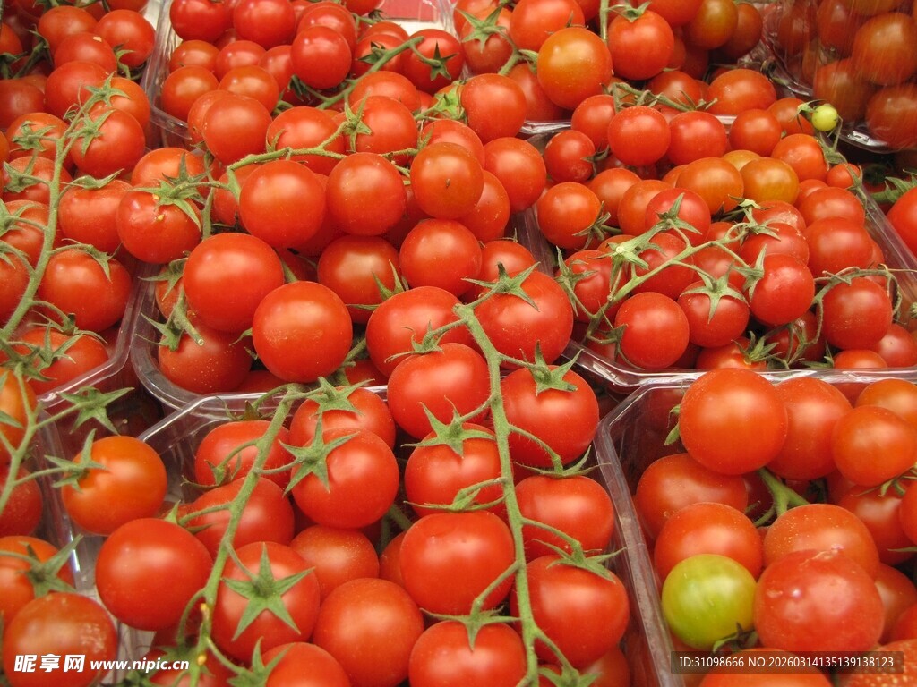 新鲜饱满的西红柿