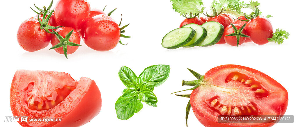 新鲜番茄与翠绿香草