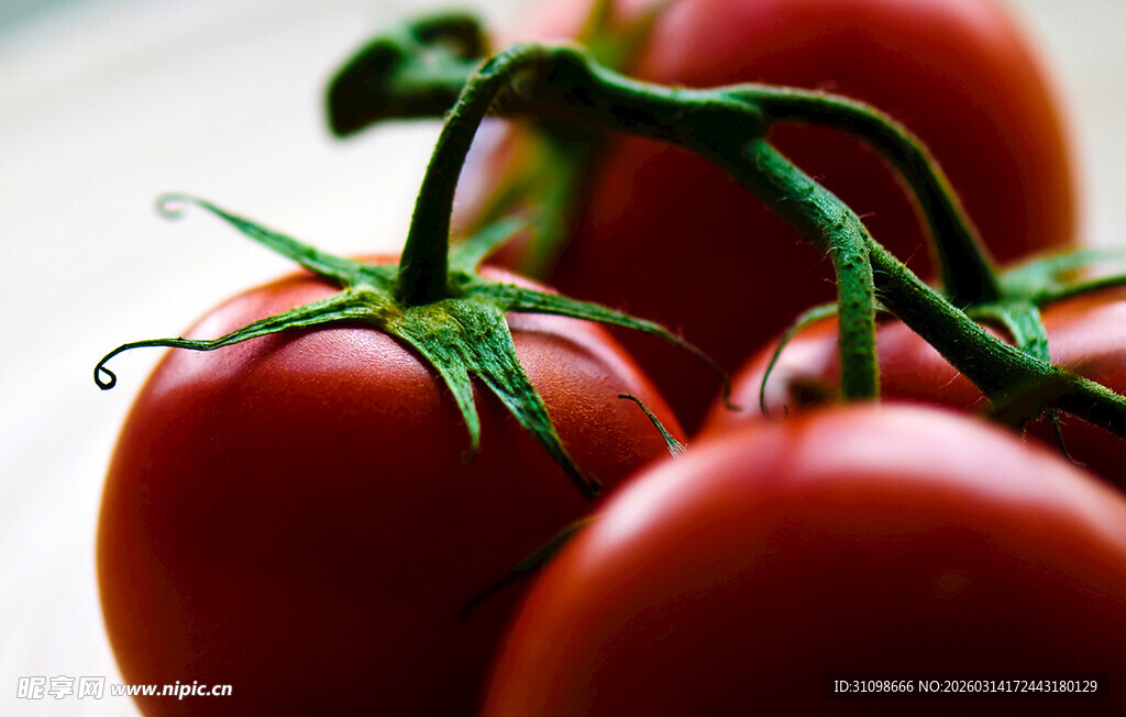新鲜红番茄