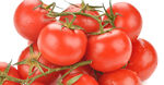 新鲜红番茄
