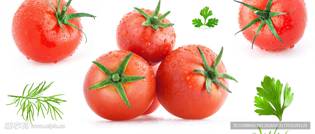新鲜番茄配香草