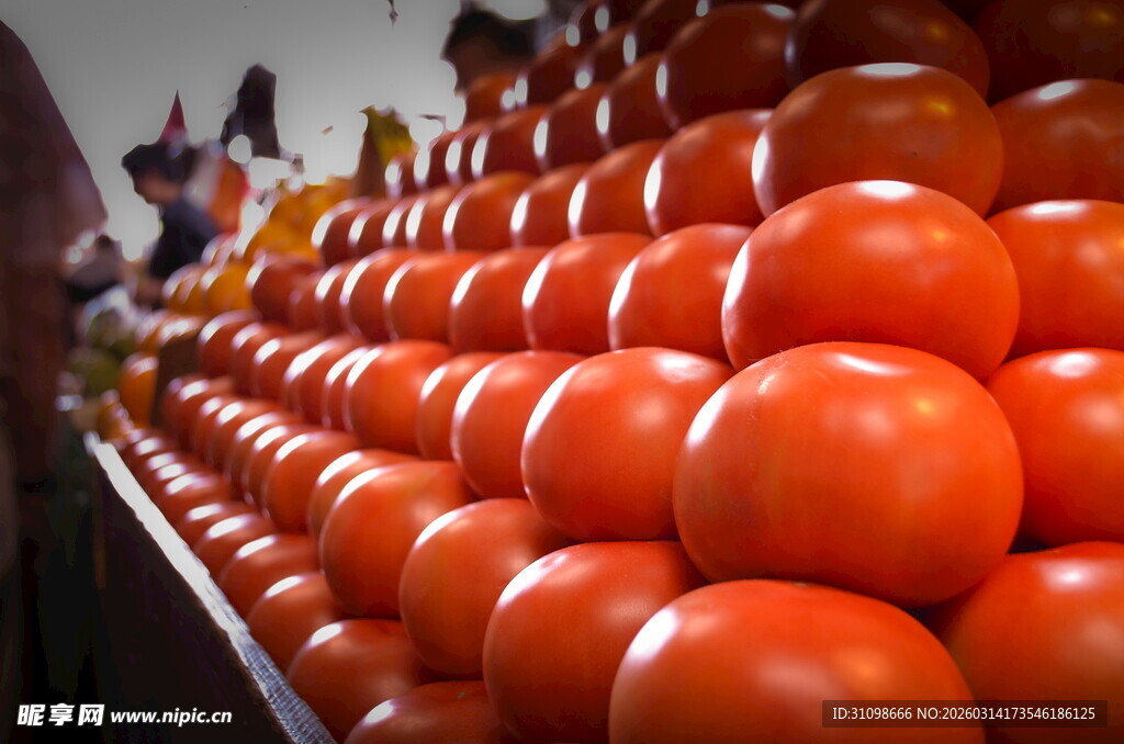 整齐堆叠的新鲜红番茄