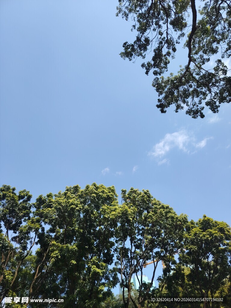 蓝天绿树间的自然景致