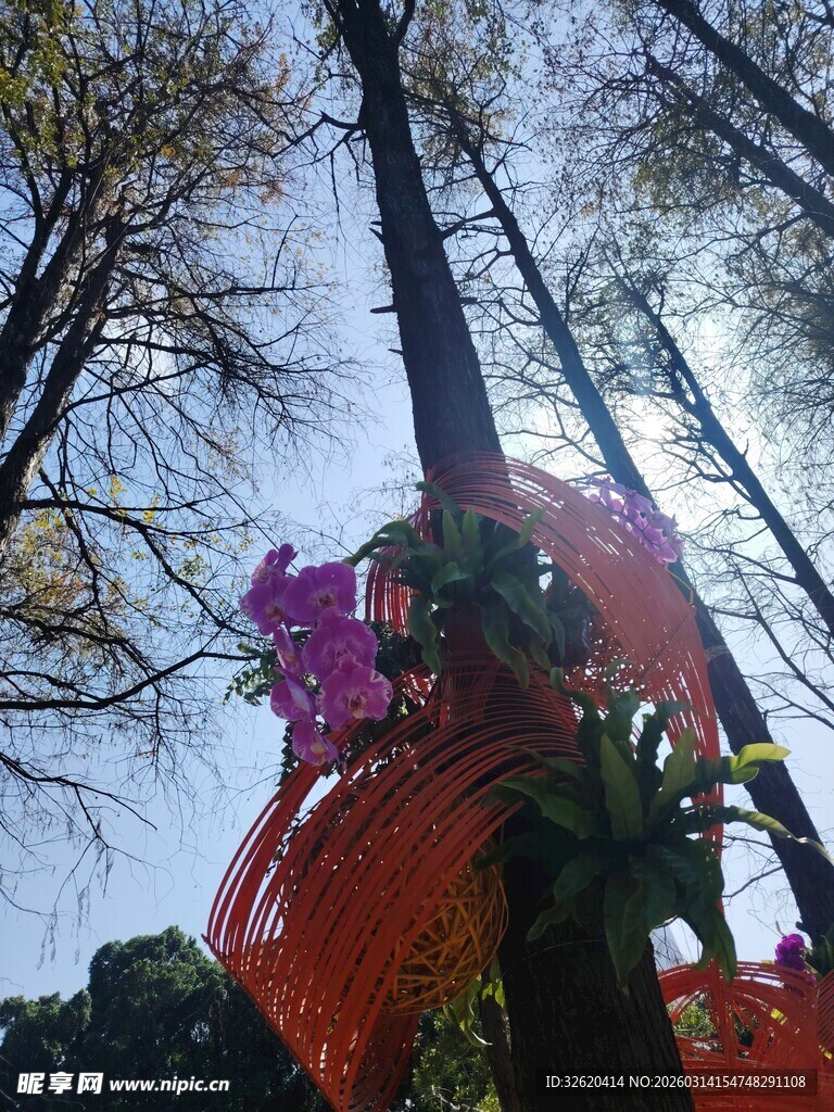 林中彩带装饰的多彩景观