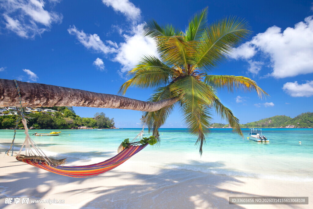 热带海滩吊床惬意风光