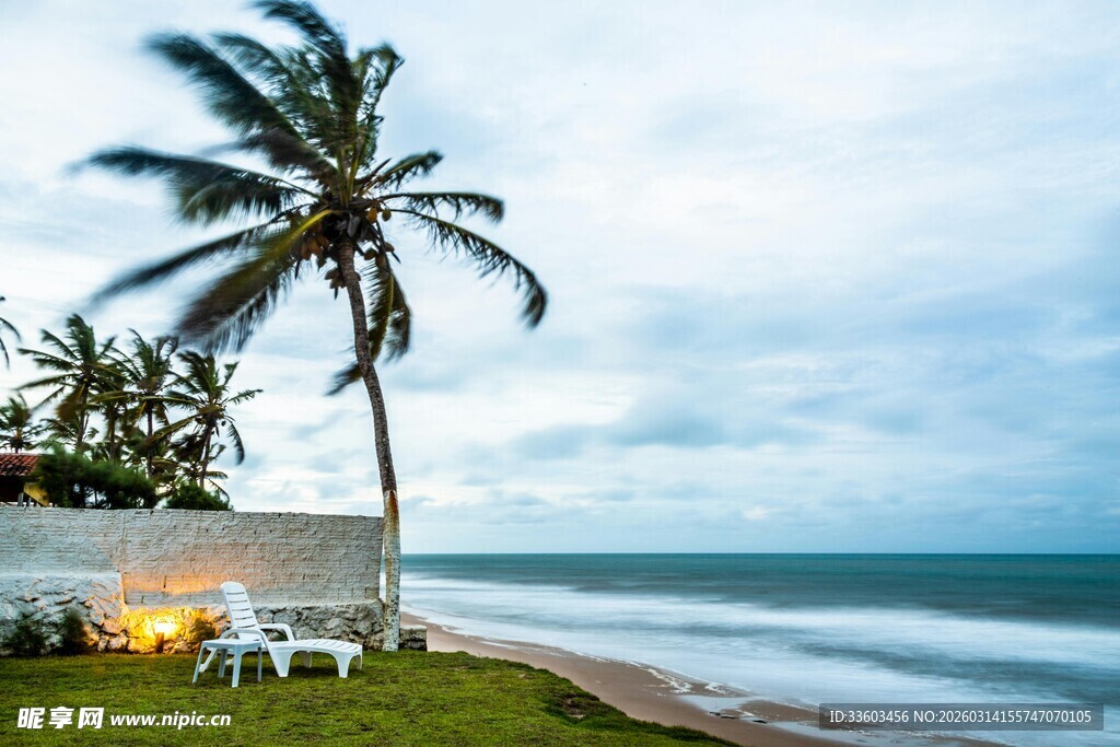 海边椰树旁的休闲美景