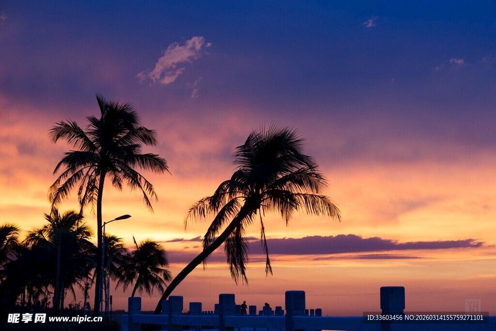 夕阳下的椰树与城市天际线