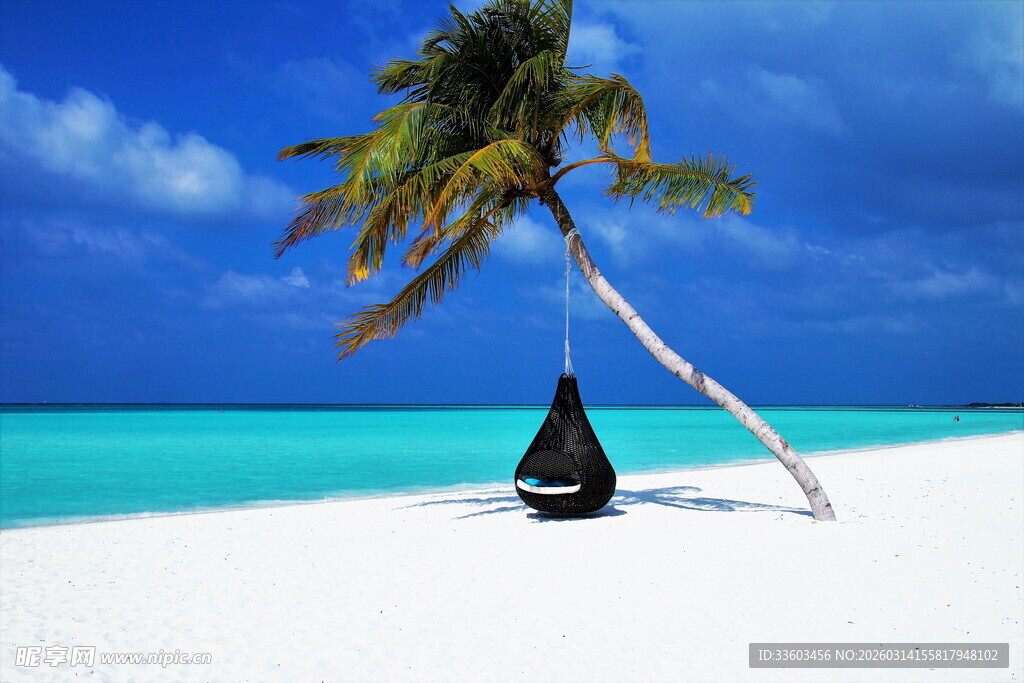 海边椰树下的休闲吊床