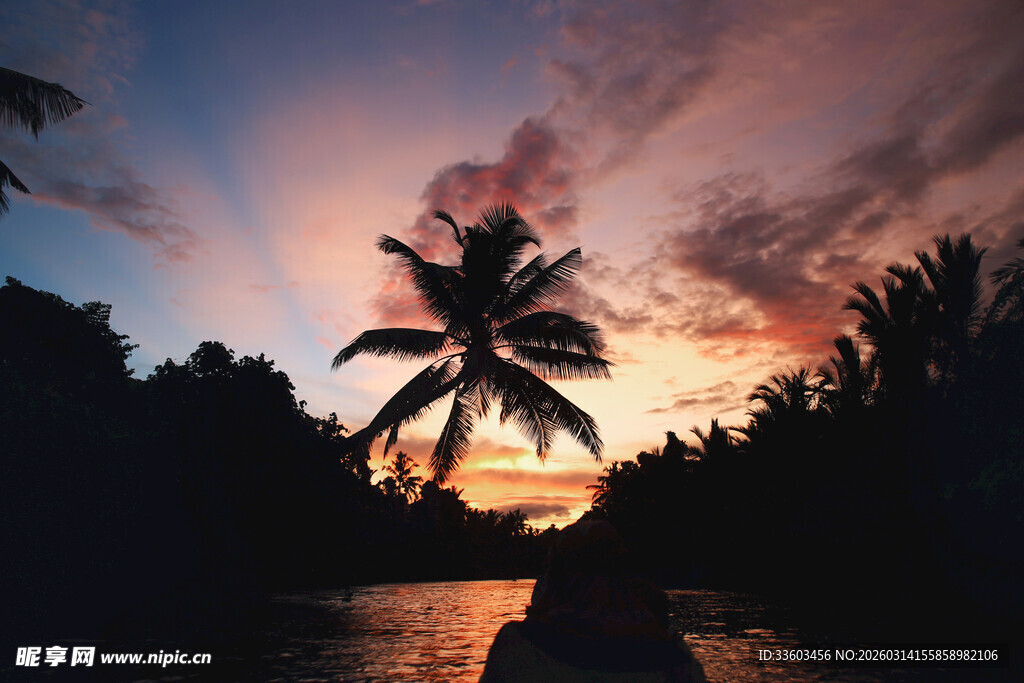 夕阳下的椰林海滨美景