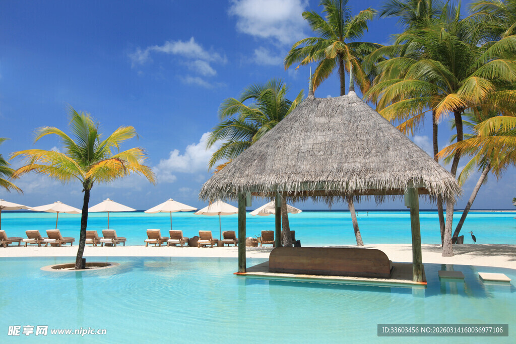 热带泳池畔的休闲凉亭